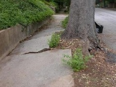 California Community Associations May be Liable for Injuries Suffered in Trip and Fall Accidents on City Sidewalks :: HOA Law Blog
